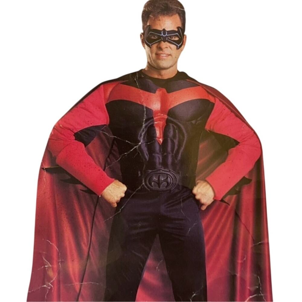 Vintage Batman and Robin Movie 1997 Deluxe Robin Costume Adult Large Rubies